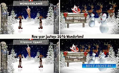 New year footage 2016 Wonderland (Eng-Rus)