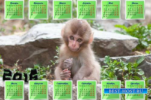 Маленькая обезьяна на камне - Календарная сетка