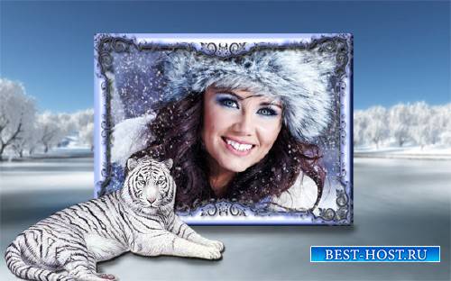 Рамка для фотошоп - Зима и белый тигр