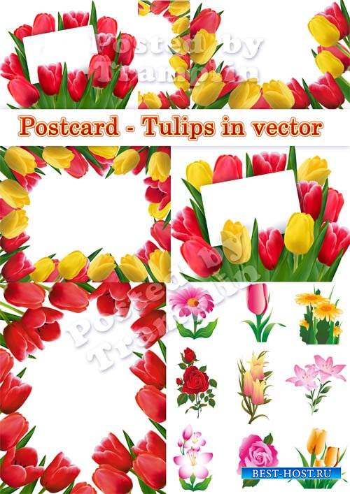 К празднику 8 марта Тюльпаны - Цветы в векторе