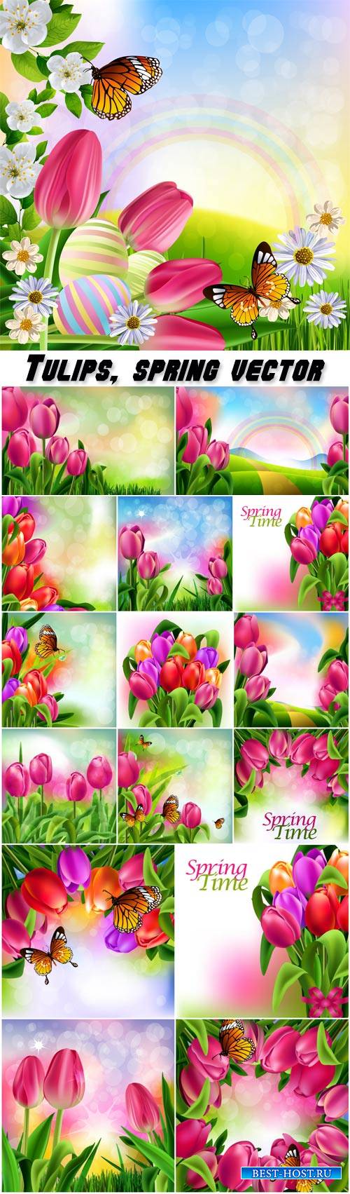 Tulips, spring vector backgrounds