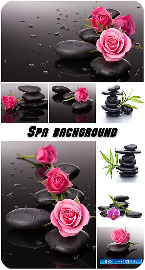 Spa background with stones and roses