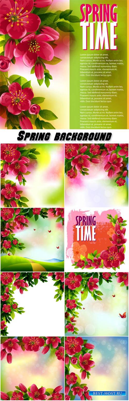 Spring vector background, cherry blossom