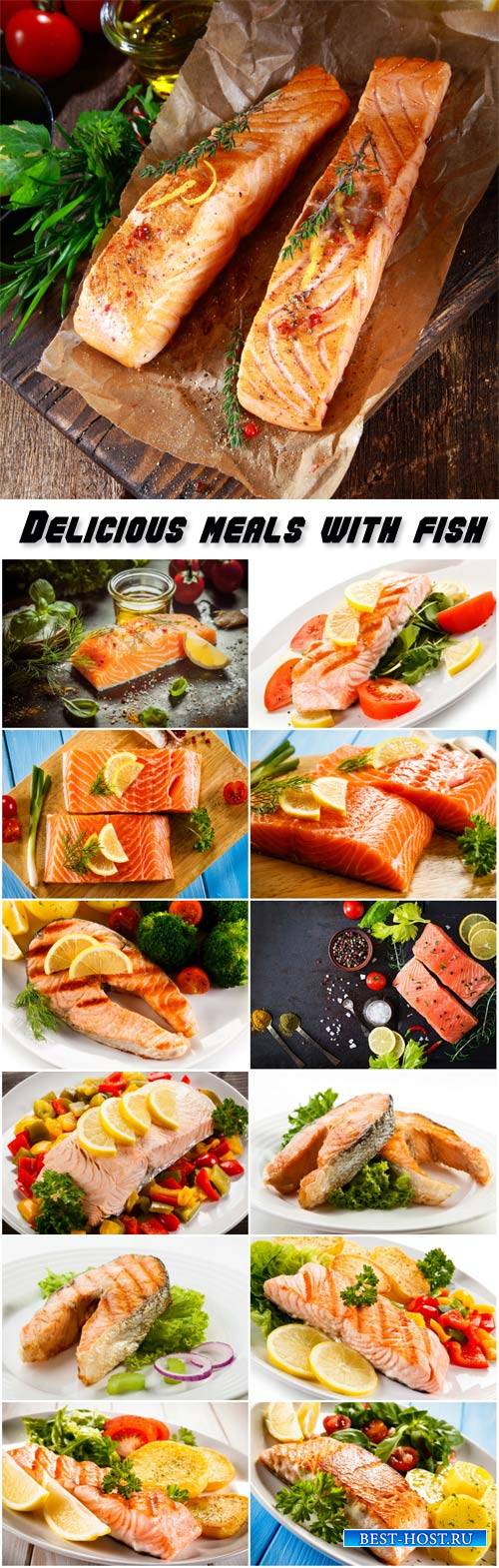 Delicious meals with fish