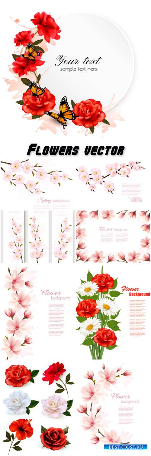 Flowers vector, roses, daisies, cherry, magnolia