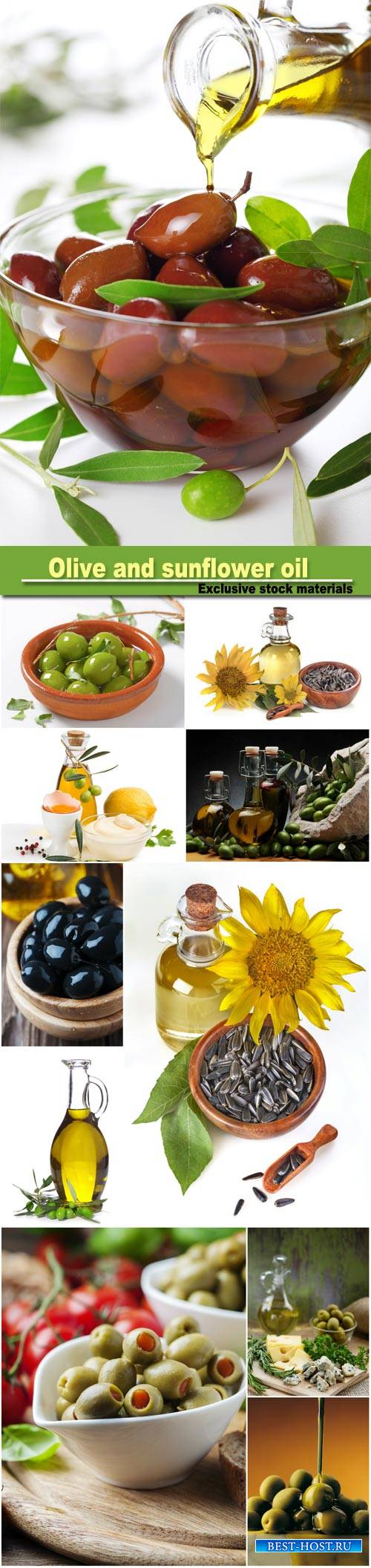 Olive and sunflower oil