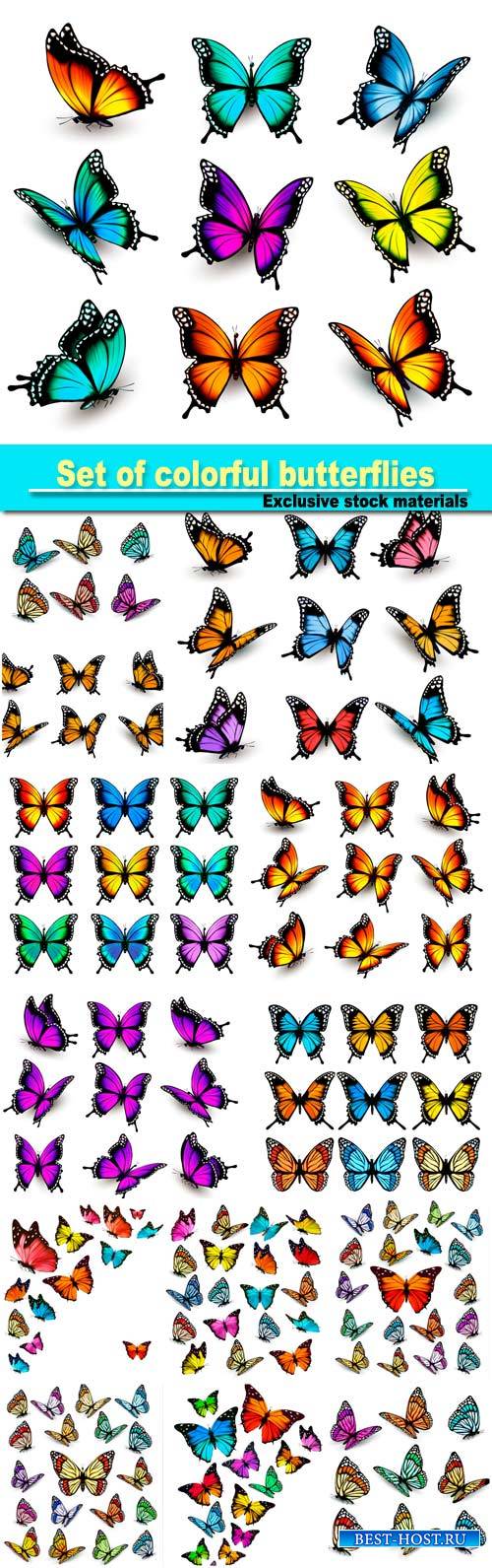 Set of colorful butterflies vector #7