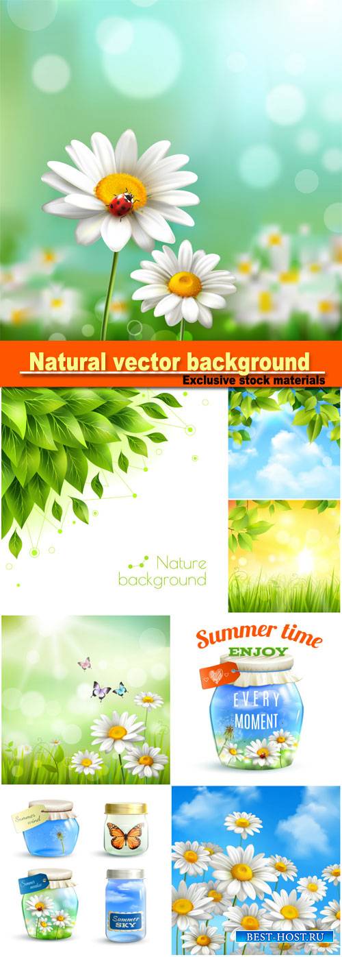 Natural vector background, flowers