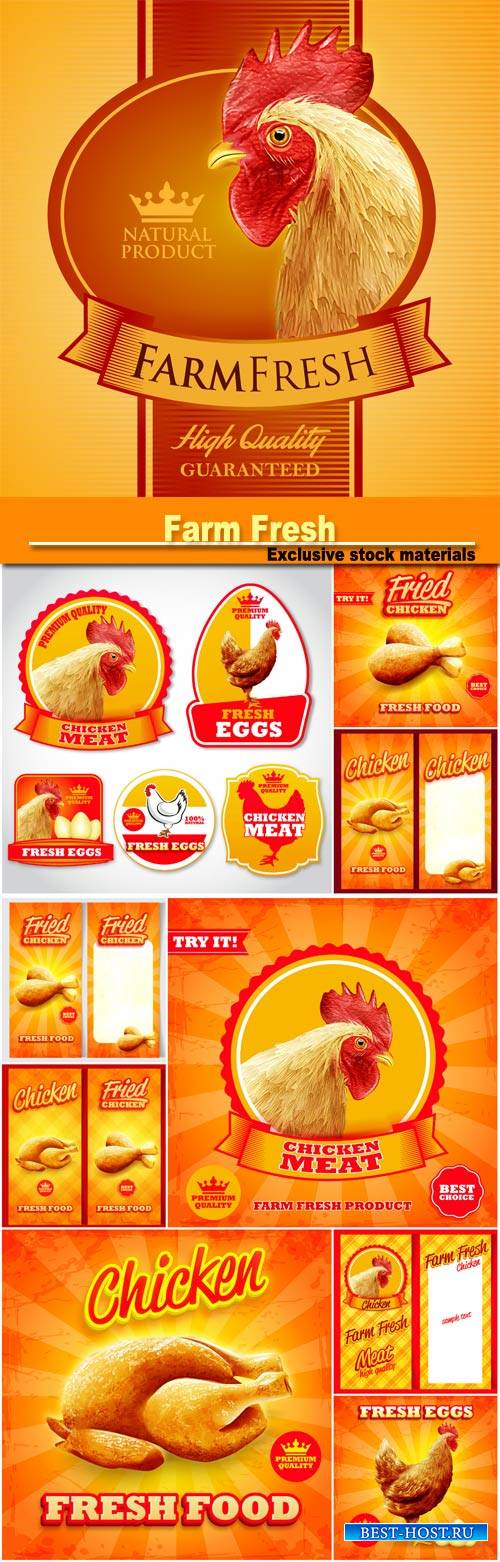 Vector banners and backgrounds with chicken
