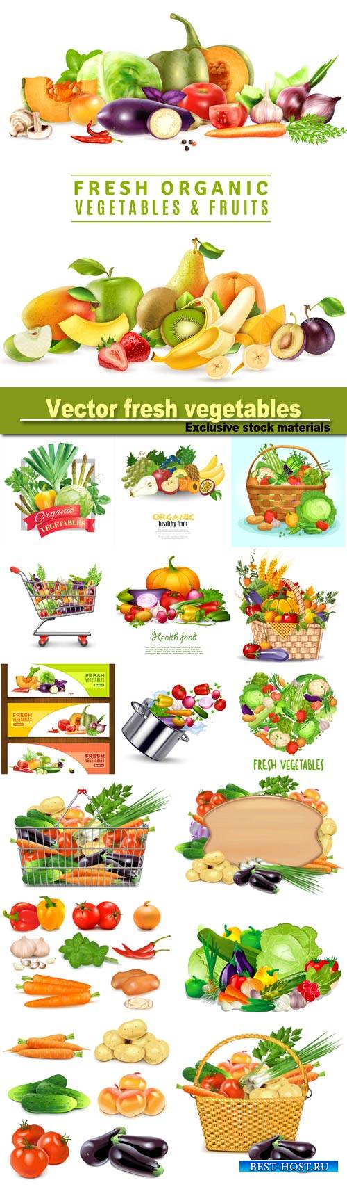 Vector set of fresh vegetables, healthy eating