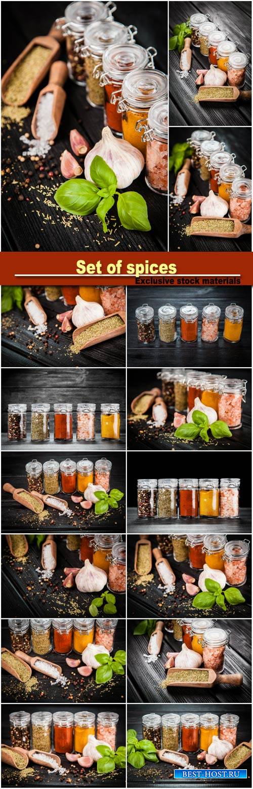 Set of spices on a wooden background