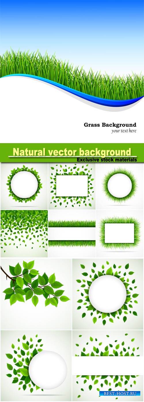 Natural vector background, grass and leaves