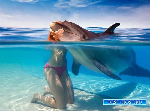 Шаблон для фото - Поплавать с дельфином