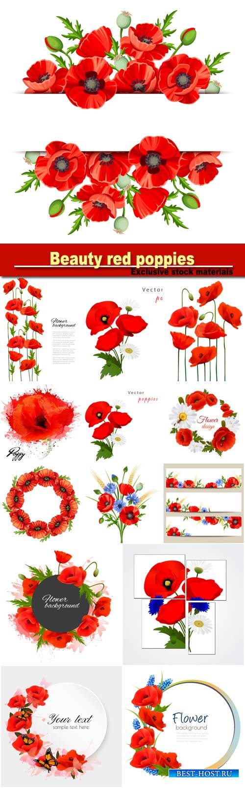 Beautiful background with beauty red poppies, vector floral