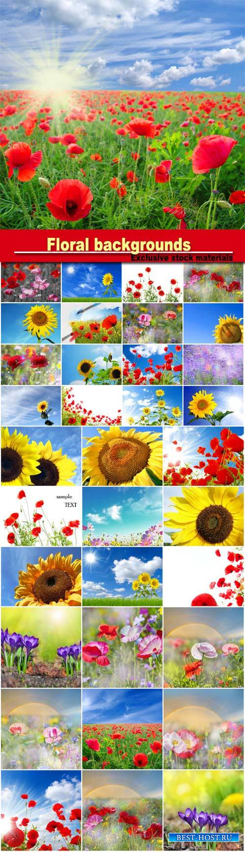 Background with sunflowers and poppies