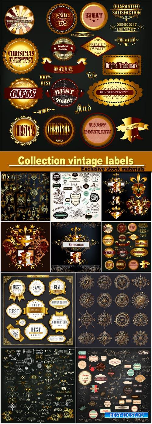 Collection of vector vintage labels, set of calligraphic elements, geometric logo design