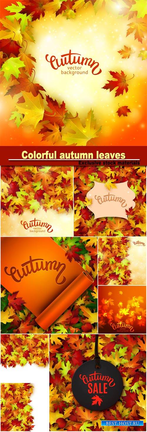 Vector illustration with colorful autumn leaves, card template, natural bac ...