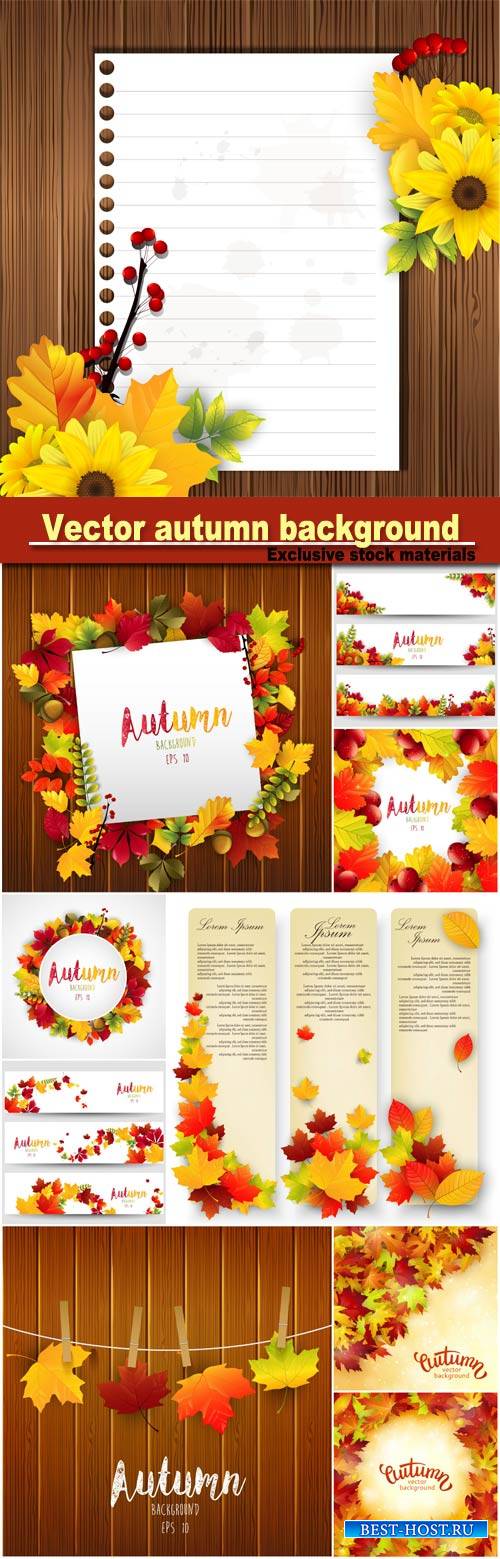 Vector background with colorful autumn leaves, card template, natural backg ...