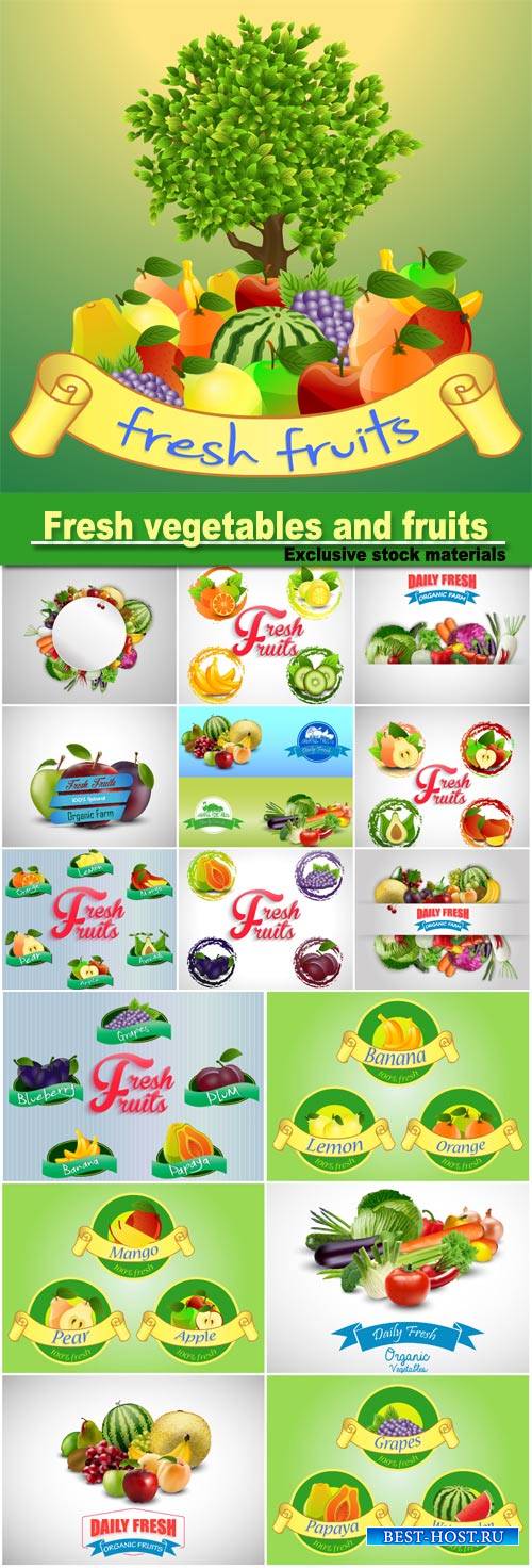Fresh vegetables and fruits in a vector, backgrounds and stickers