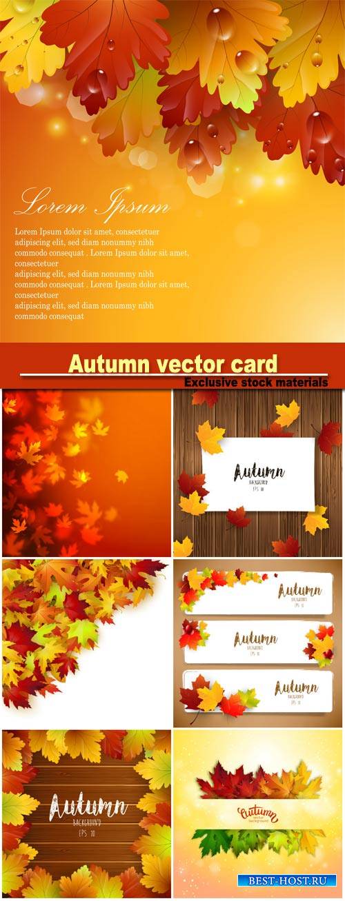 Autumn vector card, colorful autumn leaves background