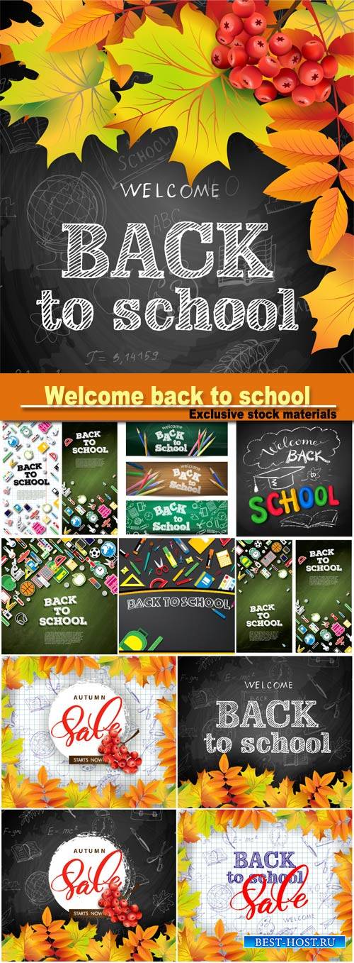 Welcome back to school background with bright autumn leaves, vector illustration