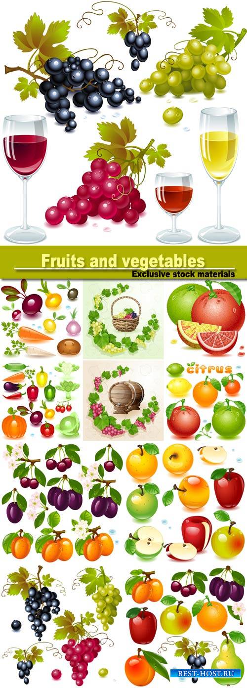 Fruits and vegetables, berries vector