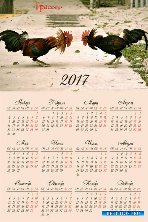 Настенный календарь на 2017 год - Петушиные бои