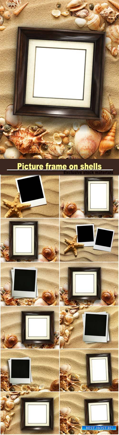 Picture on shells and sand background