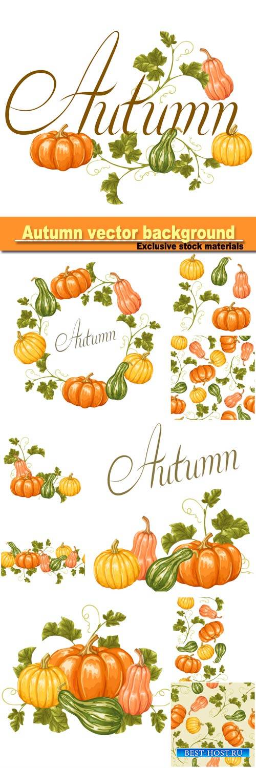 Autumn background with pumpkins, decorative illustration from vegetables an ...