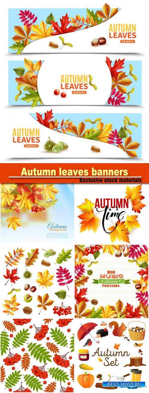 Autumn leaves banners and vector background