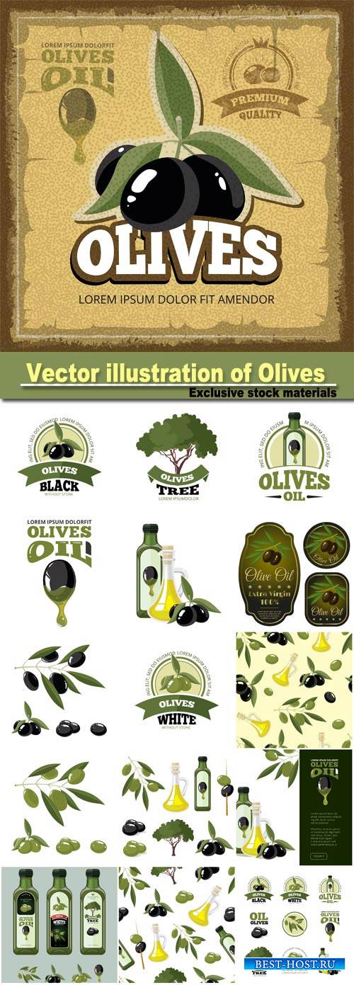 Vector illustration of Olives, tree, oil botles and leaf isolated on light background
