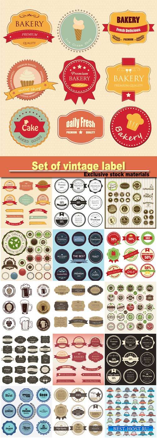 Set of vintage label color old design, set of retro badges