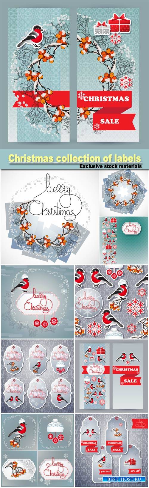 Christmas collection of labels and cards, sale stickers with winter emblem