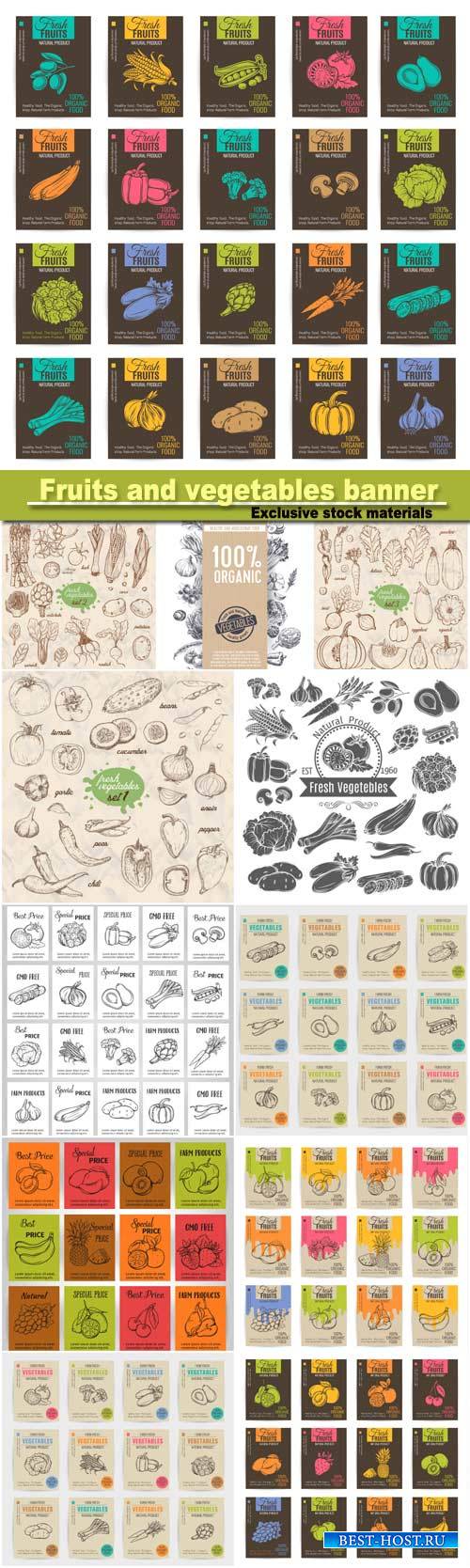 Hand draw bright vector  fruits and vegetables banner, stickers