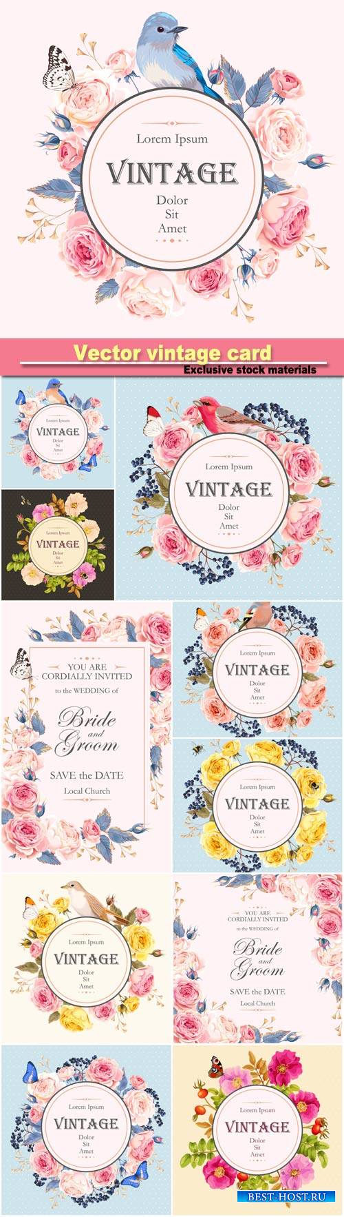Vector vintage card with english roses and bird