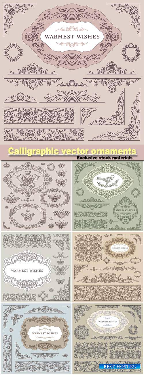 Calligraphic vector ornaments, borders and , warmest wishes