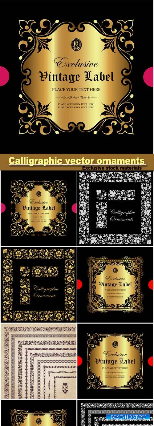Calligraphic vector ornaments, borders and