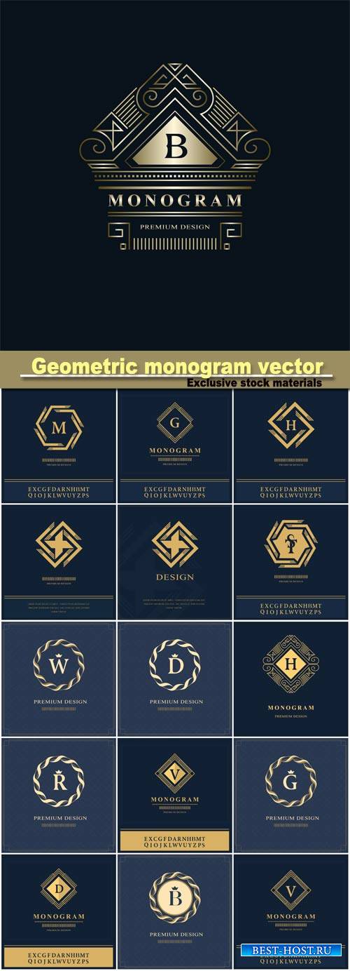 Geometric monogram logo vector