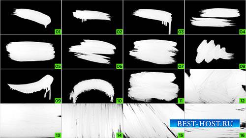 Natural Paint Brush Pack - Stock Footage (Videohive)