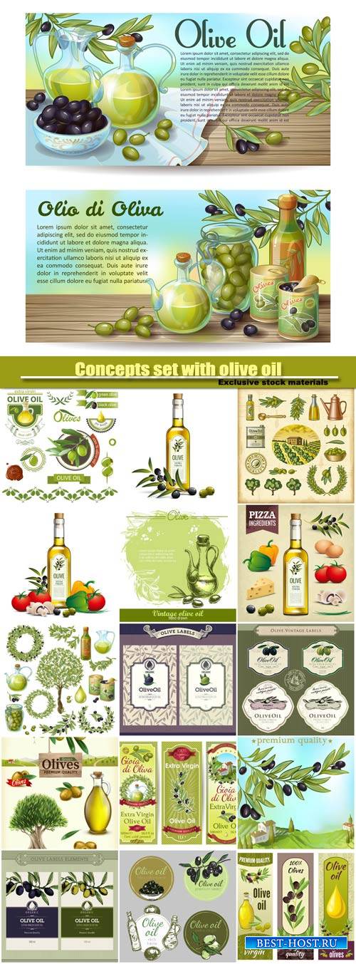 Concepts set with olive oil, drawn background with olives vector illustrati ...