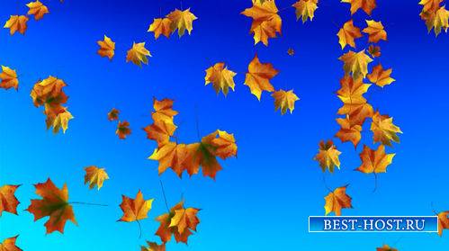 Футаж - Падающие осенние листья на голубом фоне
