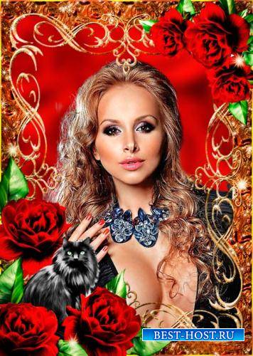 Рамка фотошоп - Красные розы и кот