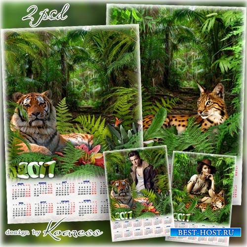 Два календаря на 2017 год с рамкой для фото с большими кошками - В джунглях