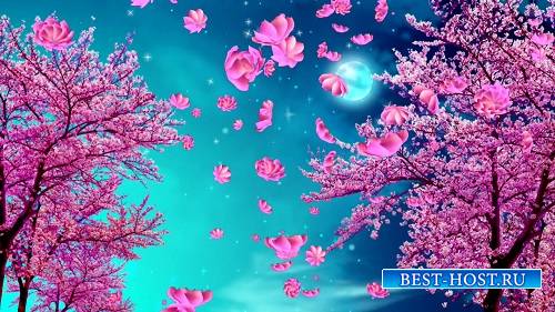 Видео Фон Праздник Весны цвет персикового дерева