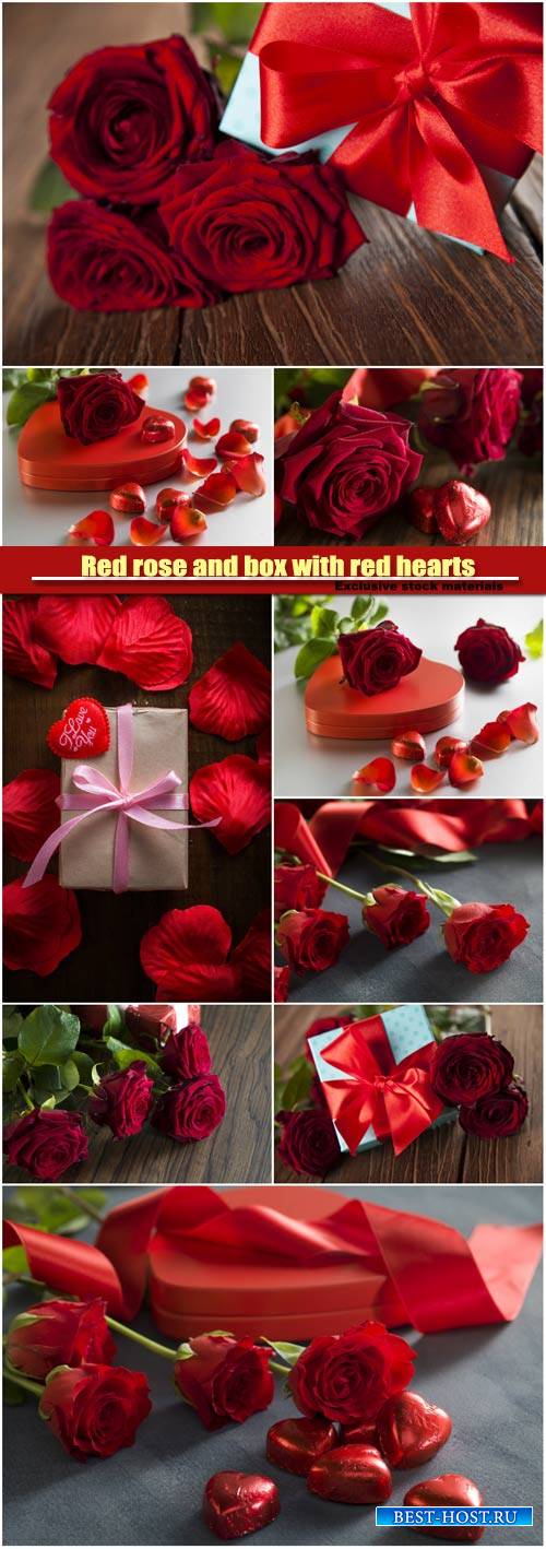 Red rose and box with red hearts