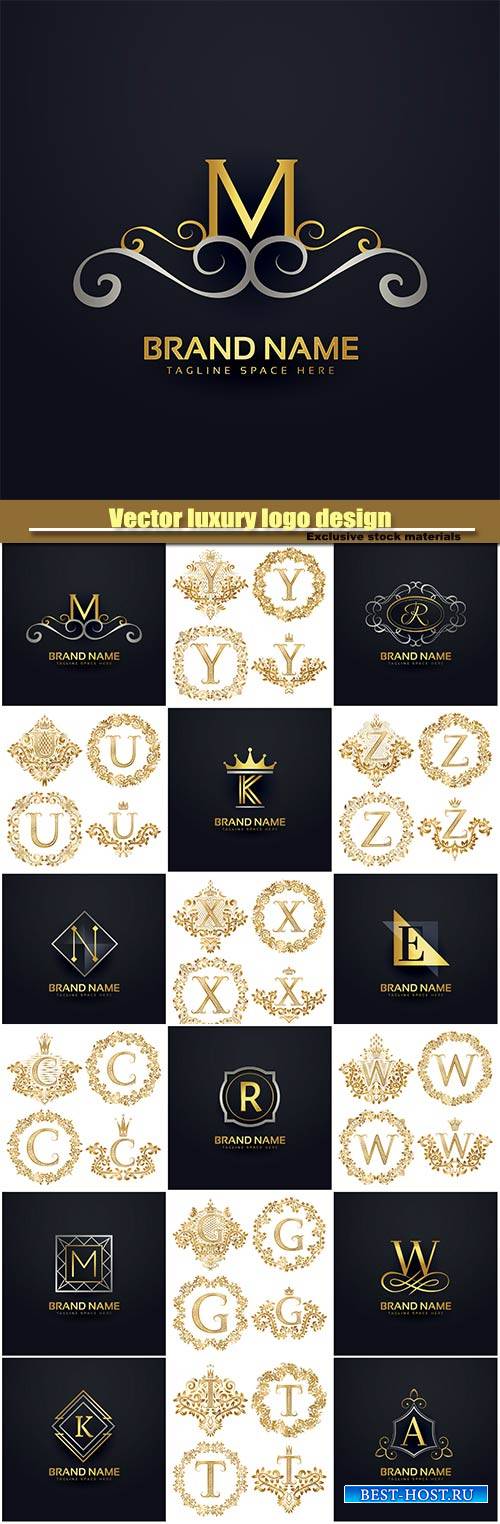 Vector luxury logo design