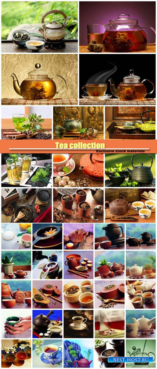 Tea collection #2