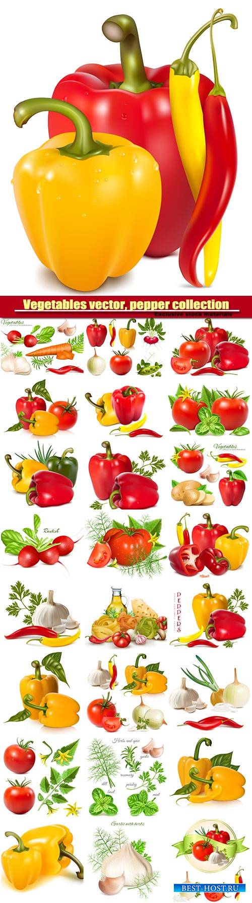 Vegetables vector, pepper collection