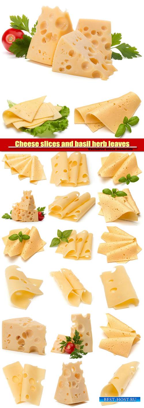 Cheese slices and basil herb leaves isolated on white background