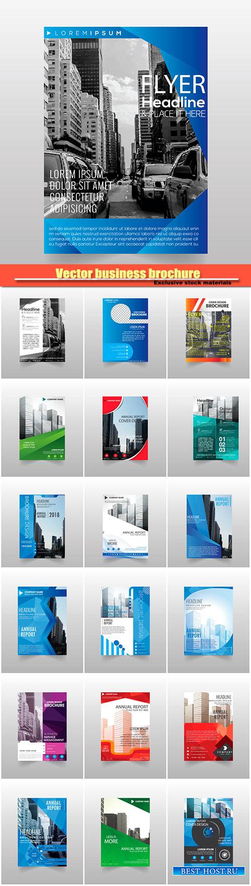 Vector business brochure flyers